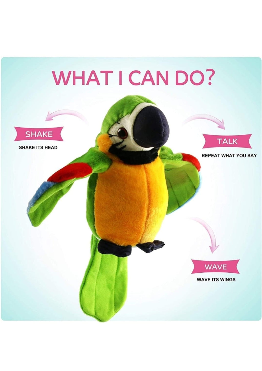 Talking Parrot