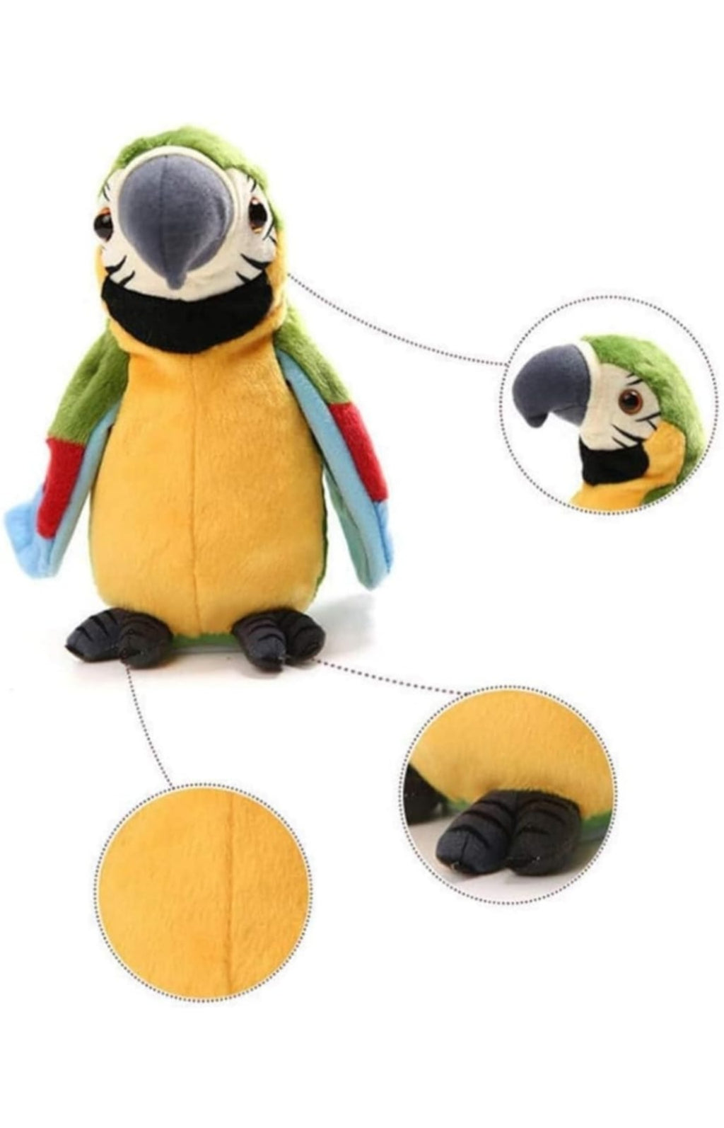 Talking Parrot